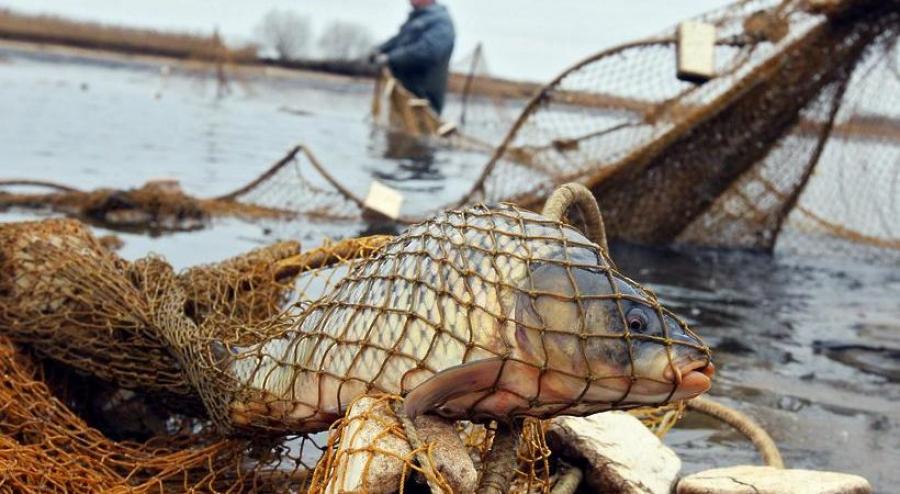 В Ташкентской области браконьеры напали на инспекторов экологии и пытались их утопить