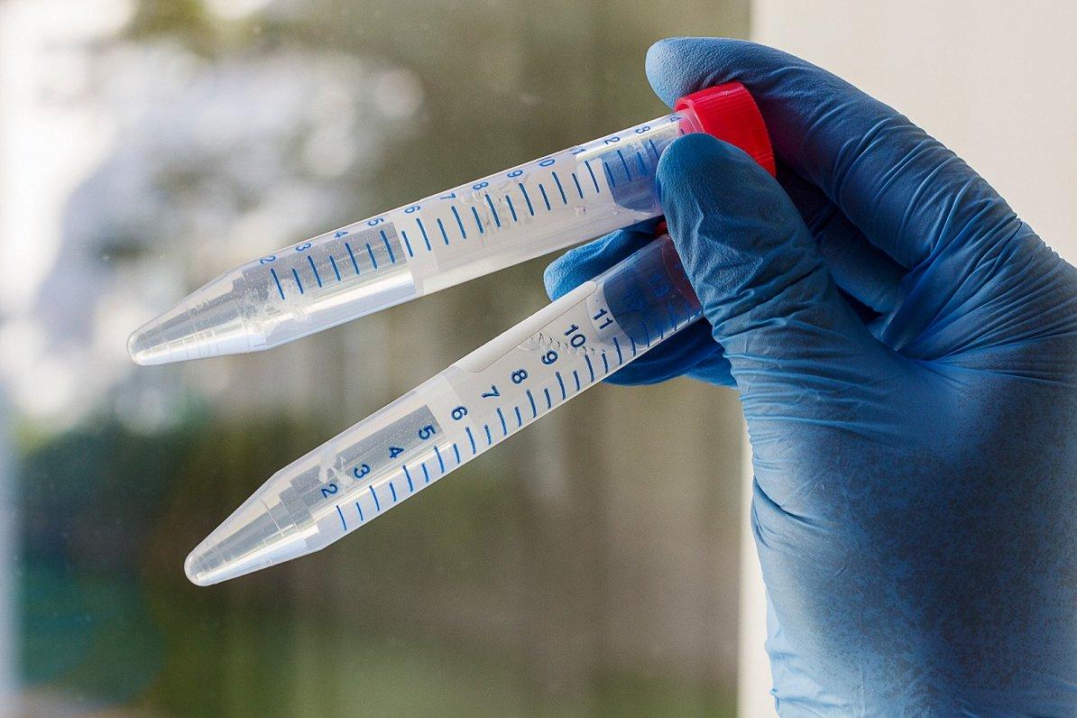 Учёные создали вакцину, защищающую от будущих коронавирусов