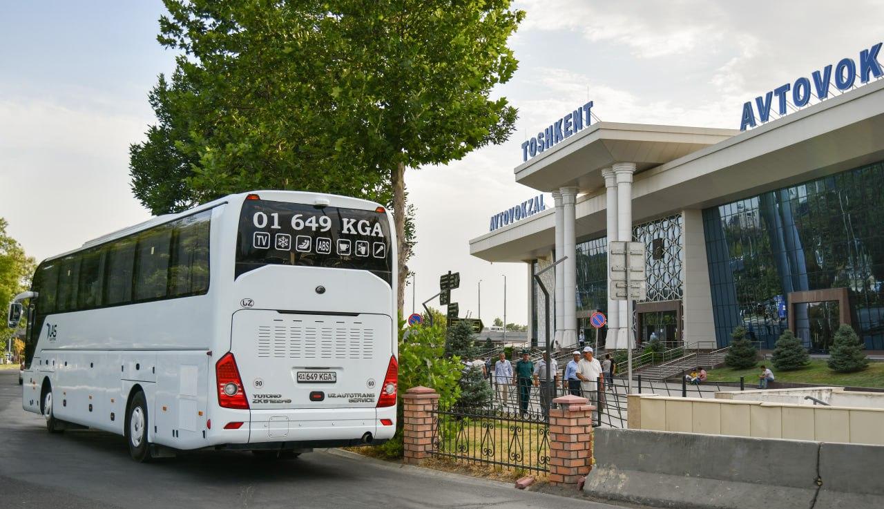 В течение года в Узбекистане откроют еще 10 новых международных автобусных маршрутов