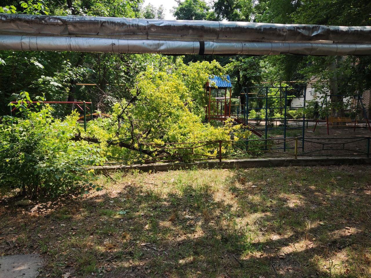 В Чиланзарском районе Ташкента на детскую площадку упало дерево