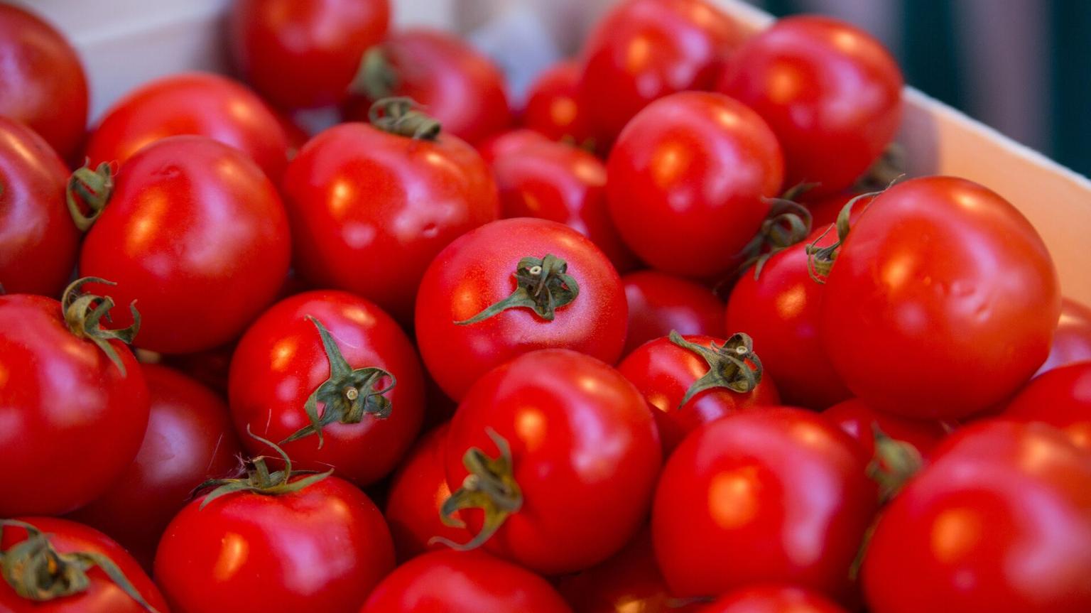 Казахстан вернул 4,2 тонны томатов в Узбекистан