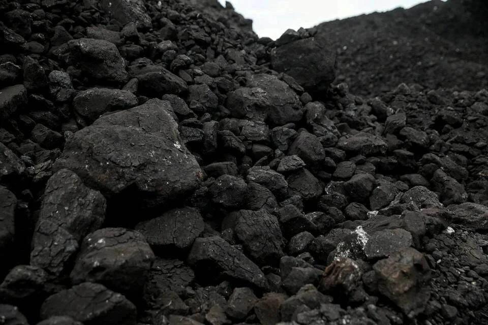 В Узбекистане освободили мазут и уголь от таможенных пошлин