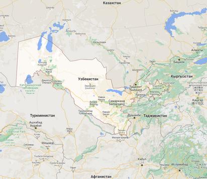 Юг Узбекистана станет непригодным для сельского хозяйства, — ООН