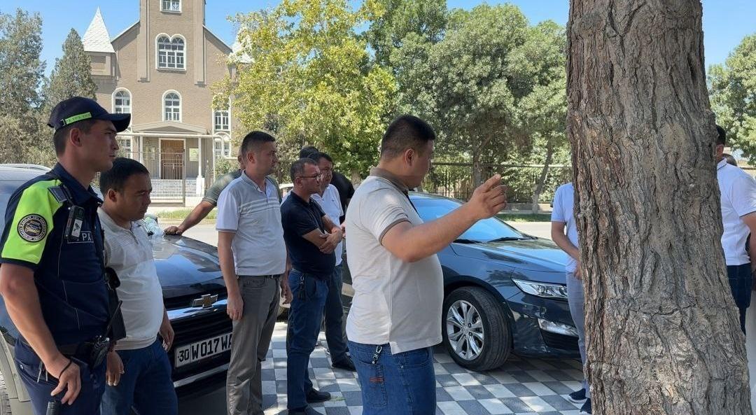 В Самарканде ради стройки вырубили ценные деревья