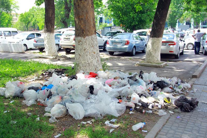 В Узбекистане ужесточат наказания за вред природе и браконьерство