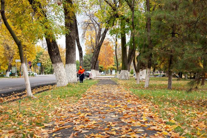 Станет прохладнее: синоптики обнародовали прогноз погоды на выходные