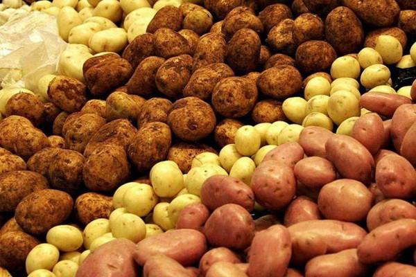 В Узбекистане снизилась стоимость картофеля
