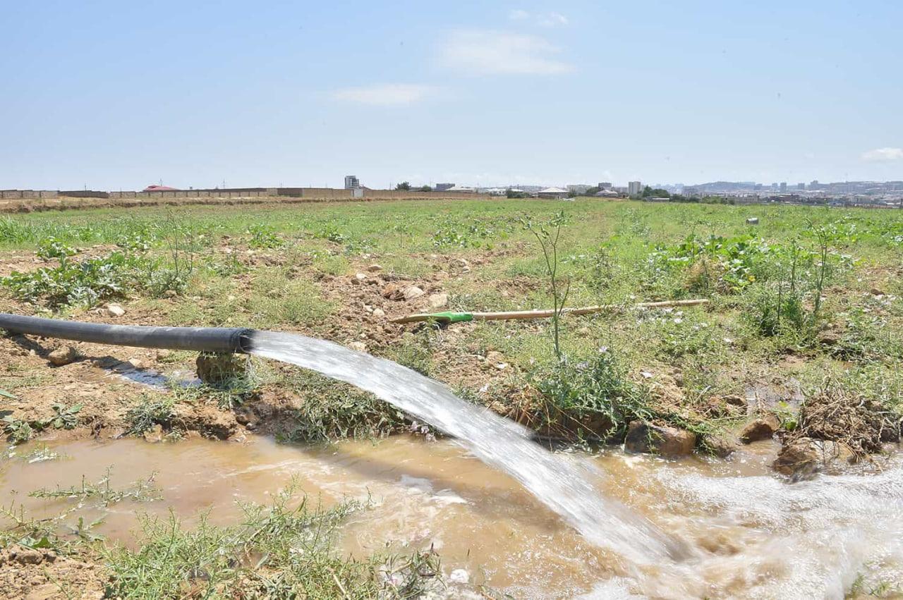 К 2030 году Узбекистан столкнется с дефицитом воды