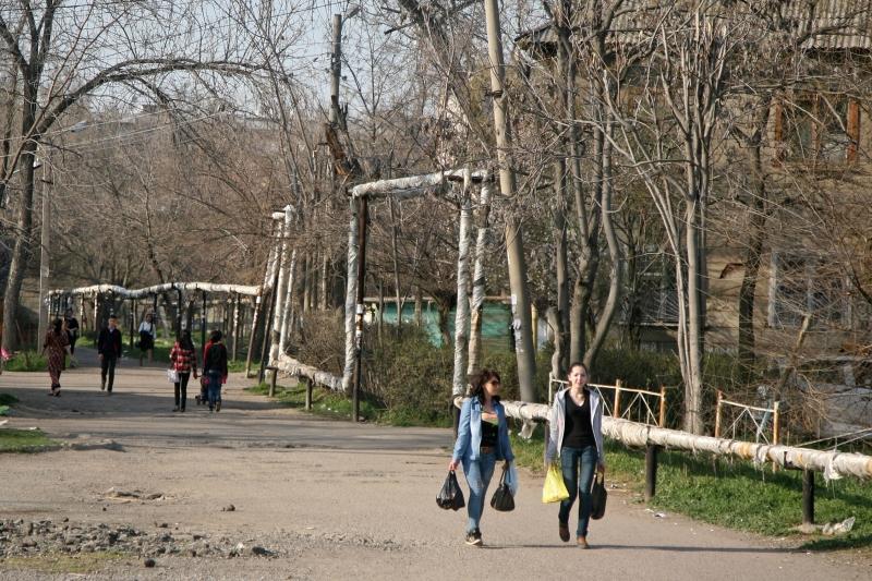 В Узбекистане ожидается теплая погода