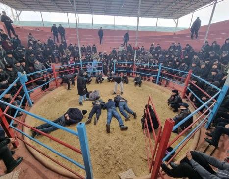 В Фергане поймали организаторов петушиных боев