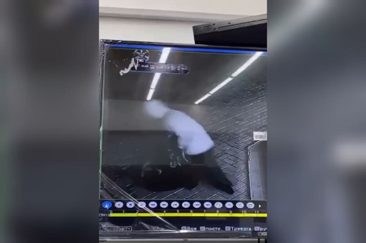 В Карши мужчина избил питомца железной цепью — видео