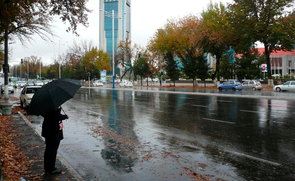 В Узбекистане ожидается дождливая погода