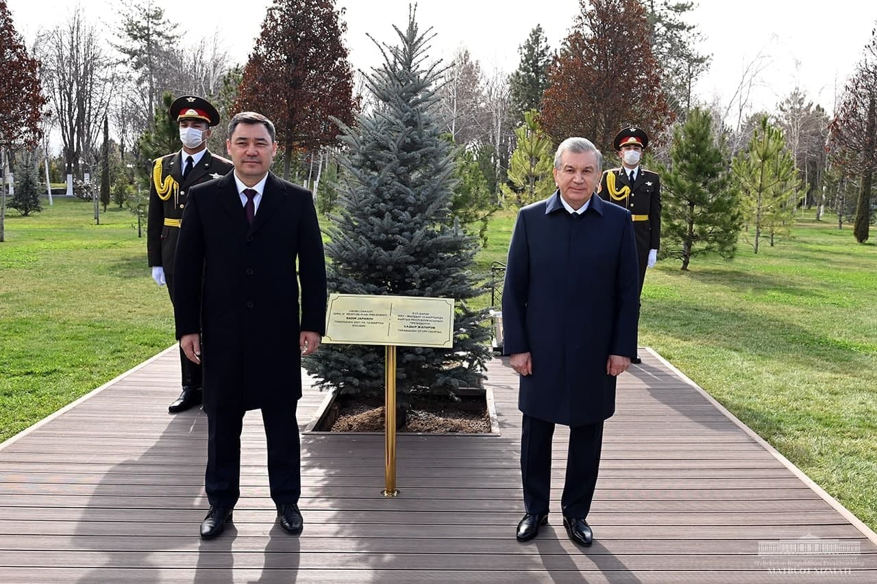 Президенты Узбекистана и Кыргызстана посадили дерево — фото