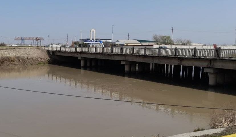 В Навоийской области 20-летняя девушка покончила с собой, сбросившись в реку с моста
