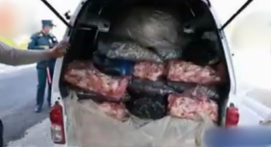 Водителя Damas поймали с 300 килограммами непригодного мяса в Андижане – видео