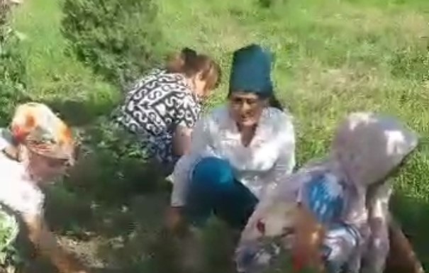 В Шахрисабзе медсестра заставила коллег рвать траву после ночного дежурства — видео