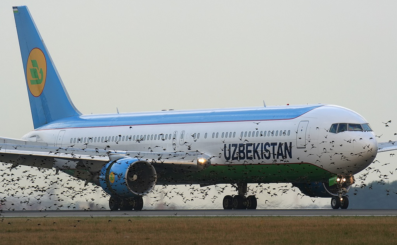 Uzbekistan airways открыл дополнительный внутренний рейс из Ташкента