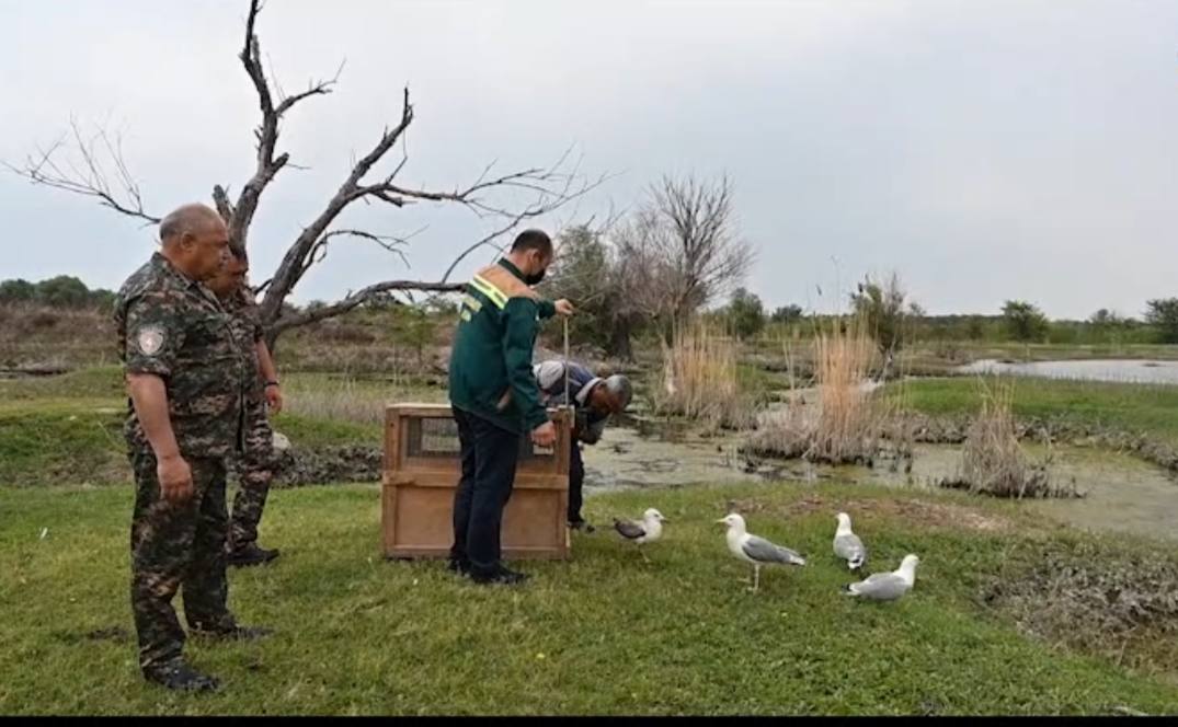 Из Ташкентского зоопарка выпустили в дикую природу более сотни животных — фото, видео