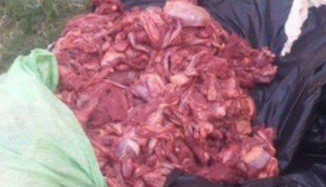 В Ташкент пытались провезти мясо неизвестного животного