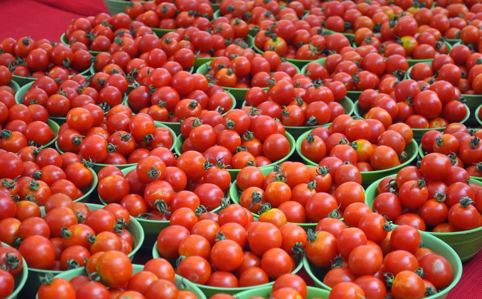 Стало известно, сколько тонн томатов Узбекистан экспортировал с начала года