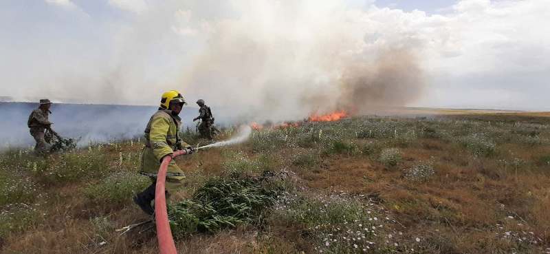 В Джизакской области пожар разгорелся на участке земли в 15 гектар