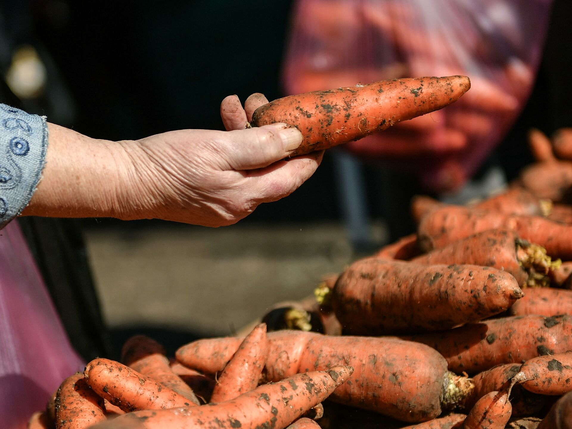 Цены на морковь в Узбекистане резко повысились