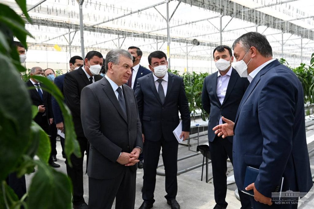 Президент посетил тепличный комплекс в Сурхандарьинской области – видео