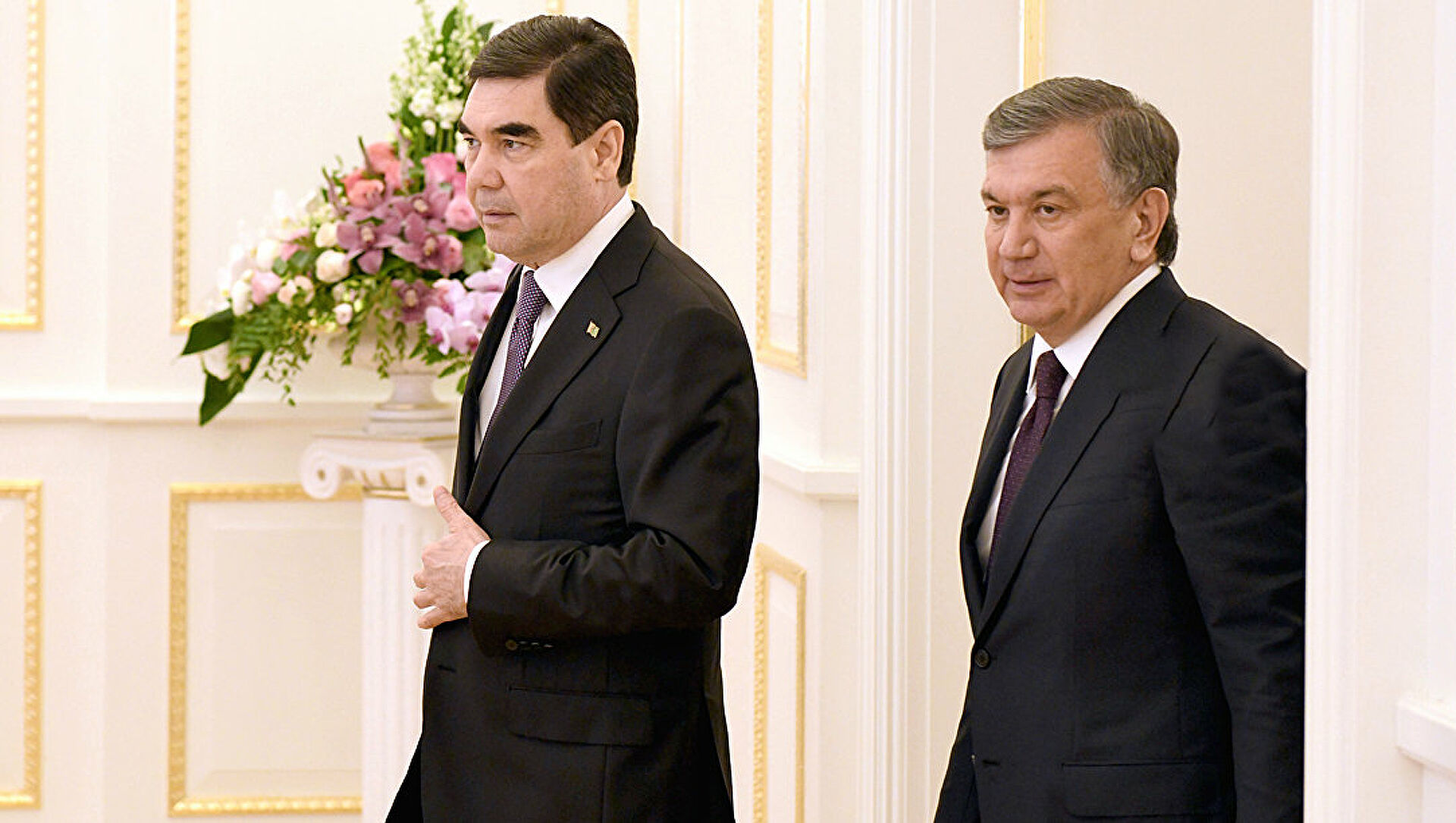 Главы Узбекистана и Туркменистана обсудили военно-политическую обстановку в Афганистане