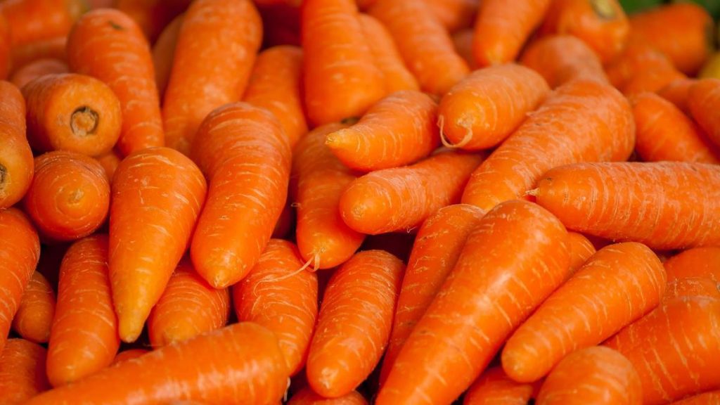 В Минсельхозе прокомментировали информацию о высоких ценах на морковь