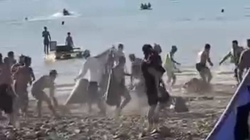 На побережье Чарвака произошла массовая драка — видео