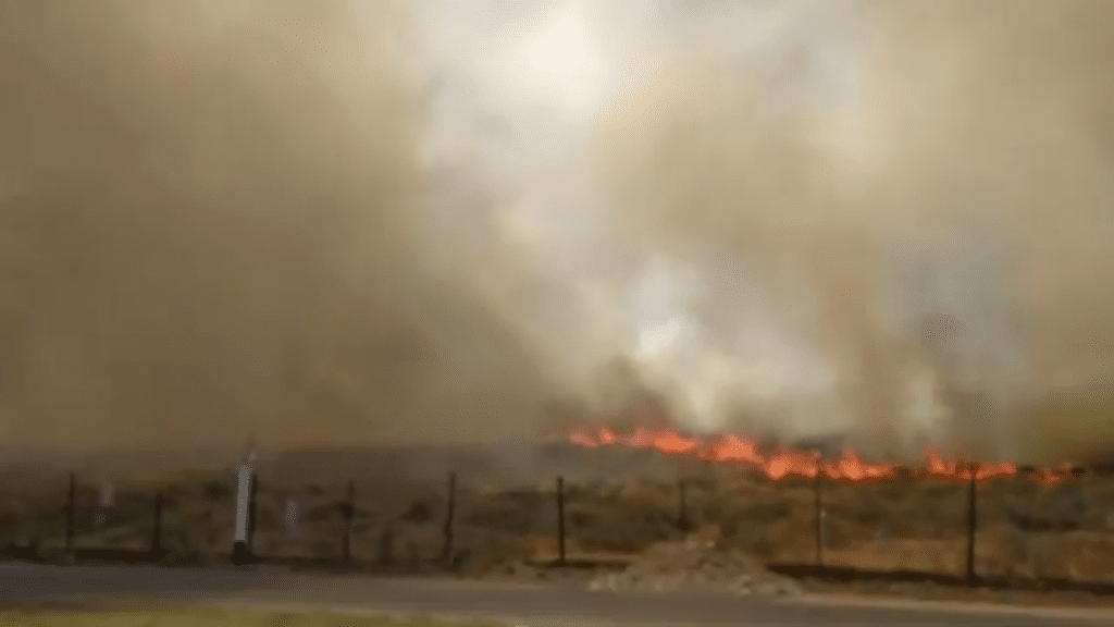 В Самарканде произошел крупный пожар – видео