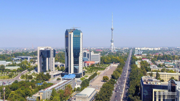 Стало известно, в каких сферах Узбекистана было открыто больше всего фирм