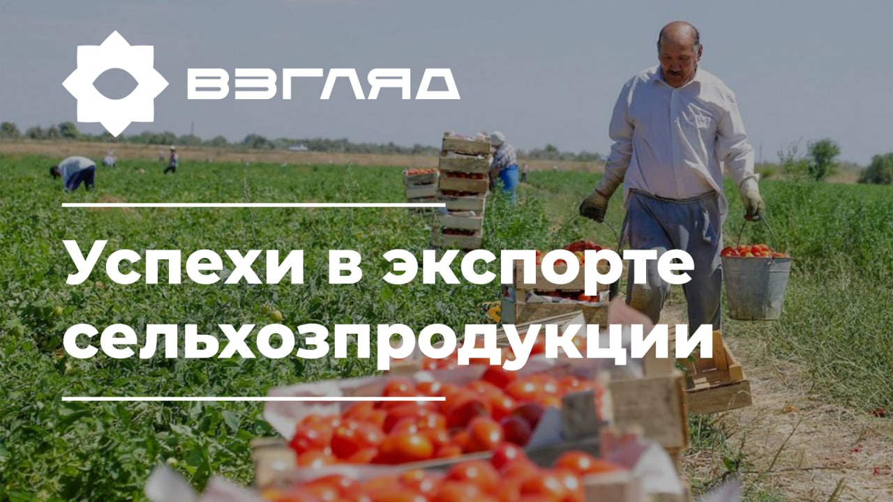 Экспорт продовольствия Узбекистана: статистика, показатели, отмена ограничений