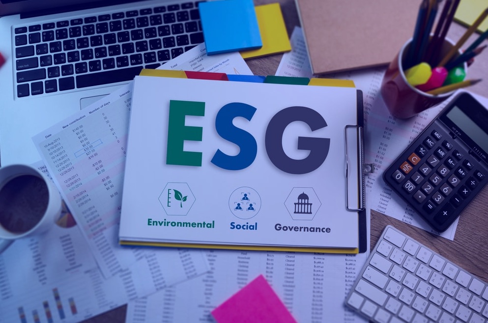 Как принцип ESG в консультировании и управлении влияет на инвестиционную привлекательность компаний