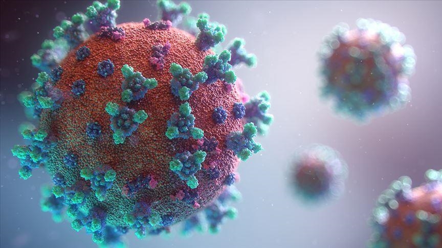 Самый опасный штамм коронавируса, оспа обезьян и полиомиелит: все об угрозах и вероятности распространения новых вирусов