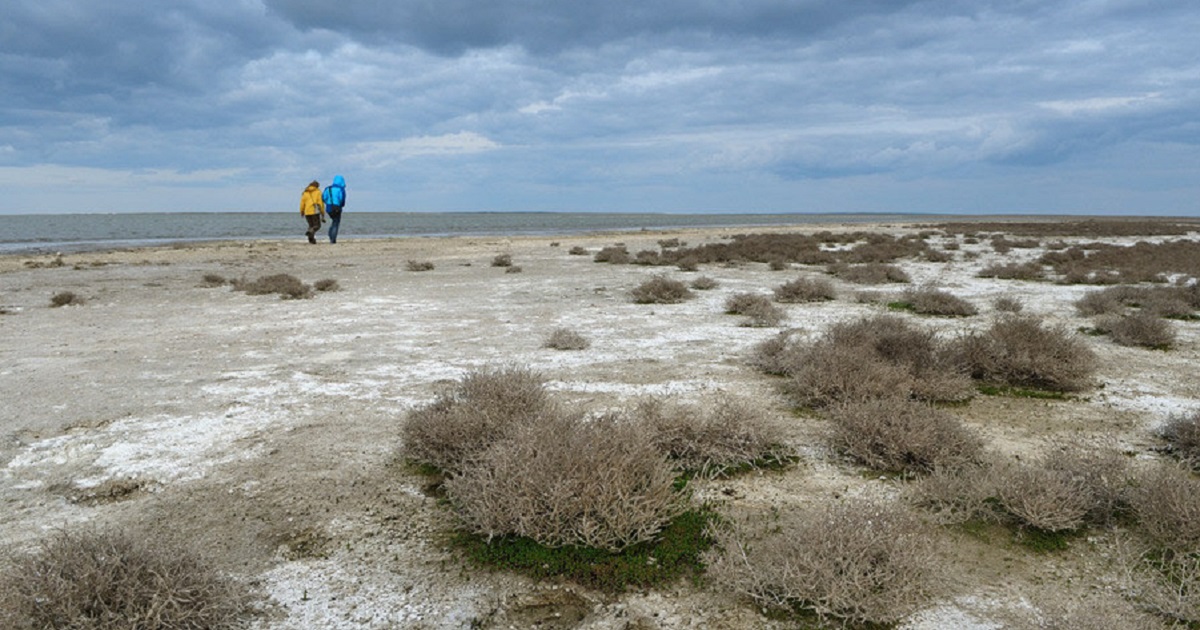 Ученые Узбекистана составят 3D-карты загрязнения почвы и высохшего дна Аральского моря