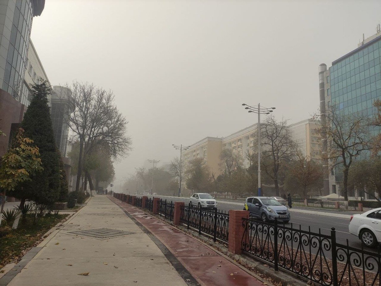 Ташкентский воздух вновь оказался вредным для здоровья