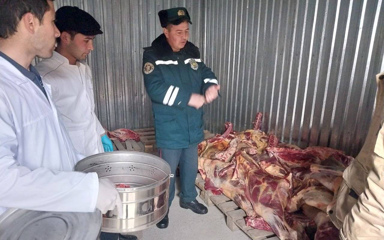 Житель Самарканда попытался ввезти в Ташкент более 2,5 тонн мяса неизвестного происхождения