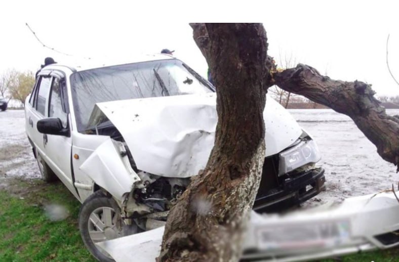 В Самарканде парень на угнанном автомобиле врезался в дерево и скрылся