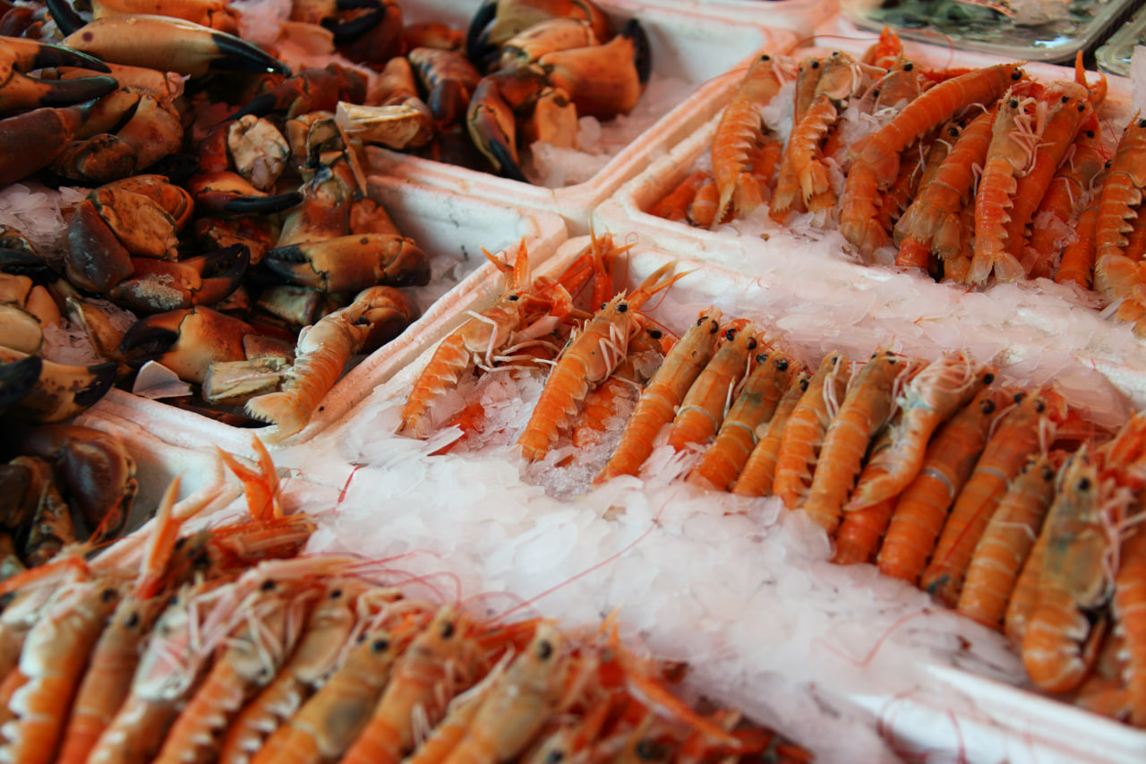 В Кашкадарье развернут производство ракообразных морепродуктов
