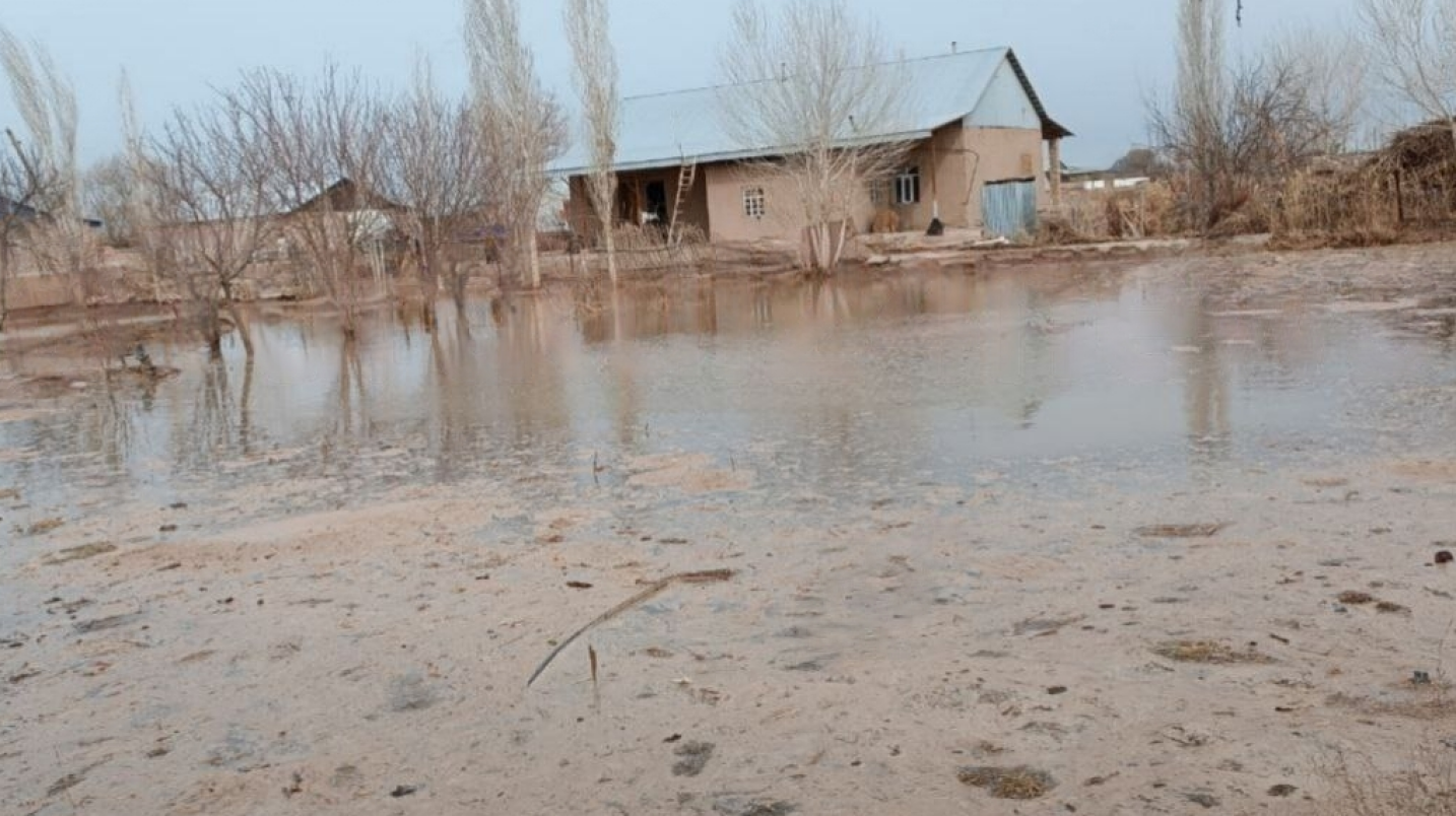 В Каракалпакстане несколько частных домов подтопило из-за подъема уровня воды