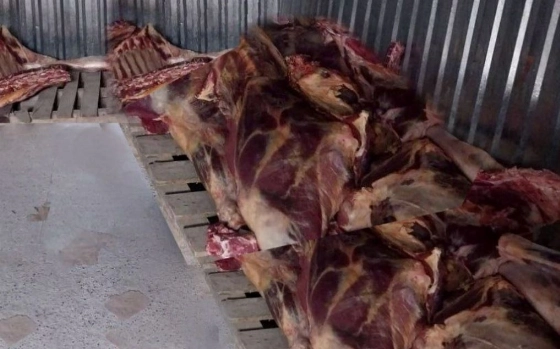 В Ташкент пытались ввезти почти 3 тонны непригодного мяса