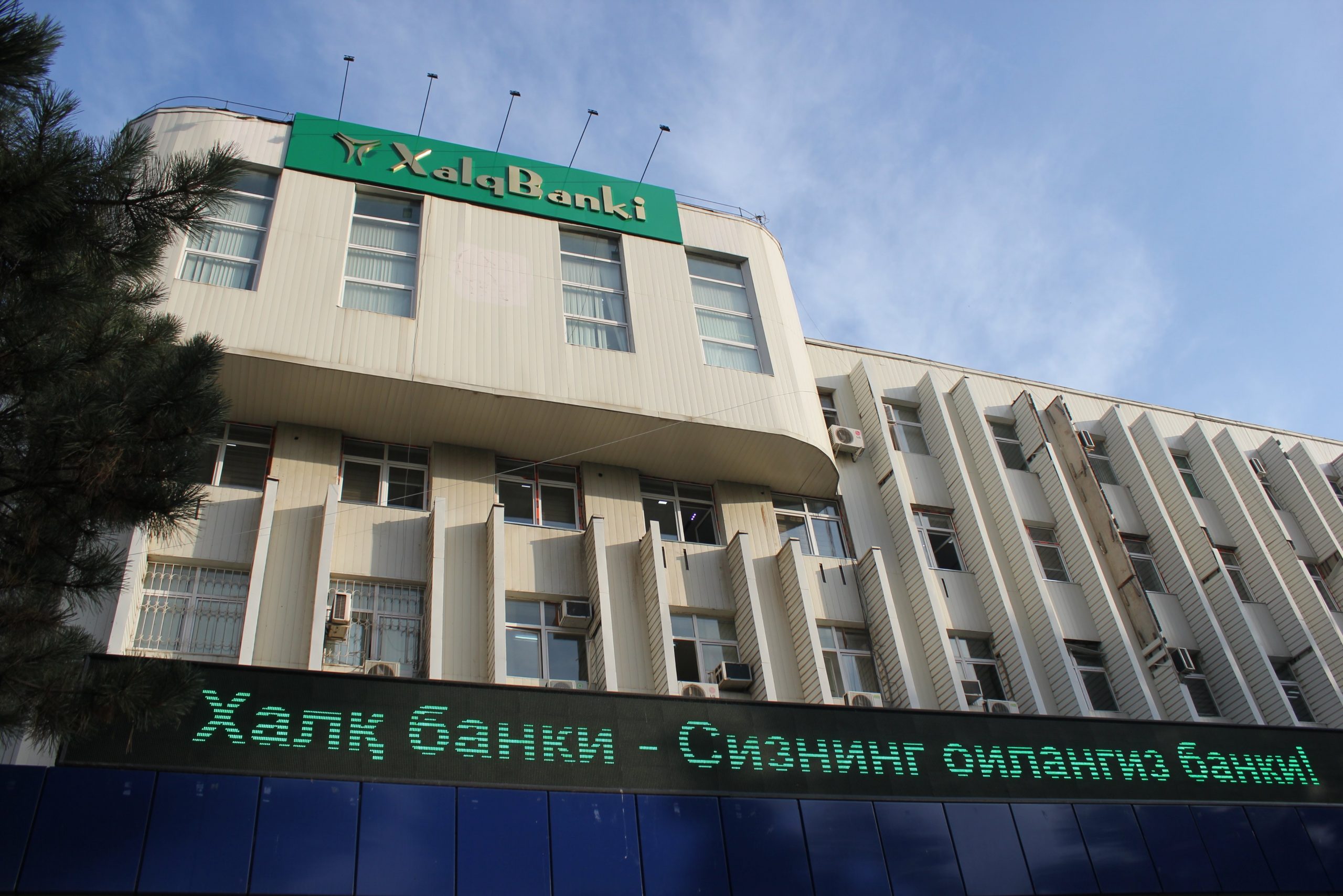 В Сырдарьинской области сотрудники «Халк банка» расхитили почти 4 млрд сумов