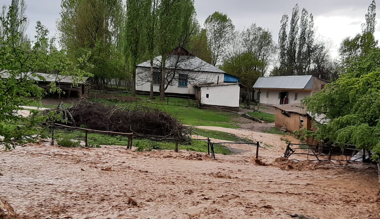 В девяти регионах Узбекистана возможны селе-паводковые явления