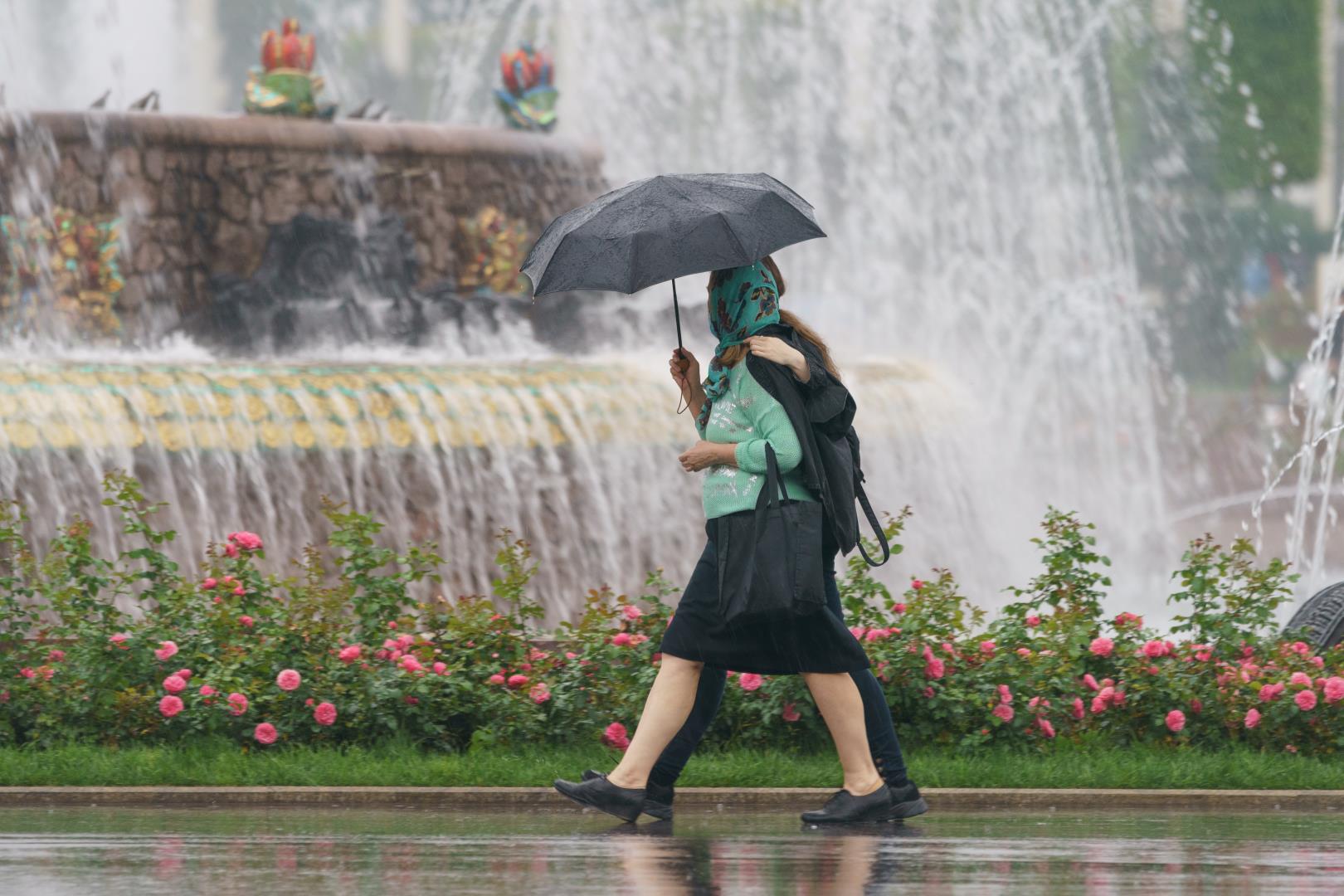 24 часа дождя. Дождь в Узбекистане. В Узбекистане всю неделю ожидаются дожди с грозами. Дождь 10 часов. Метеоролог работа в ливень.