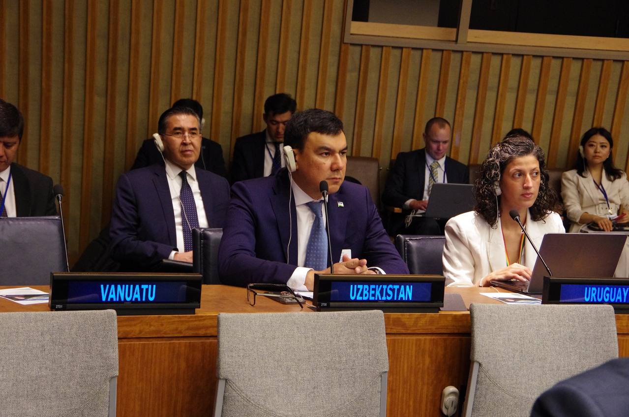 Узбекистан на форуме ООН обсуждает вопросы сохранения лесов