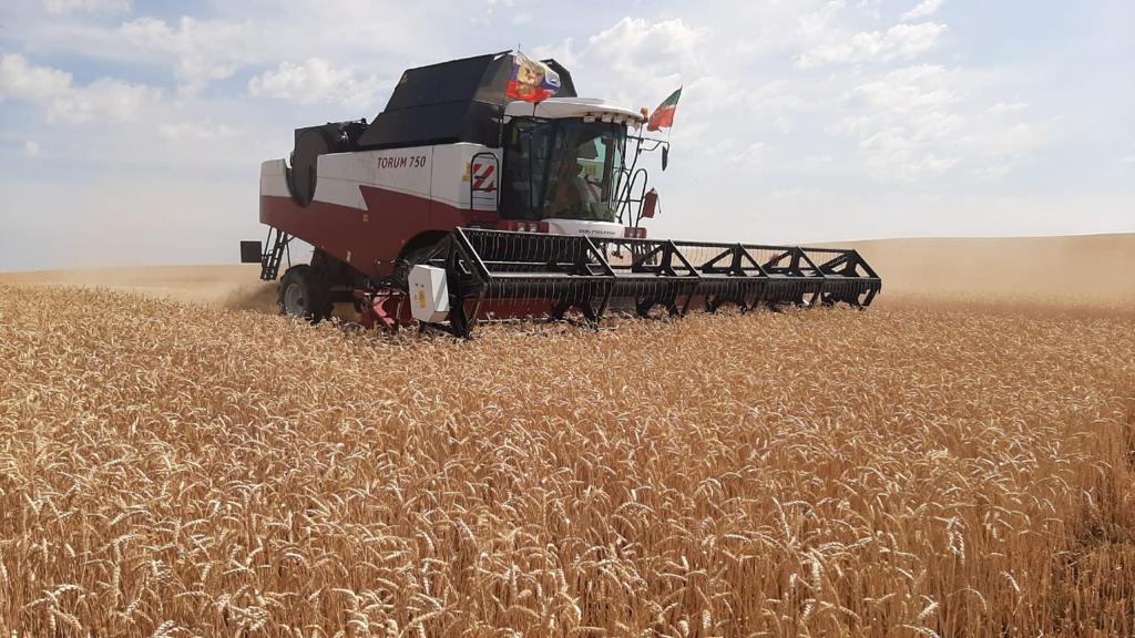В Казахстане предложили ограничить вывоз зерна автотранспортом в Узбекистан