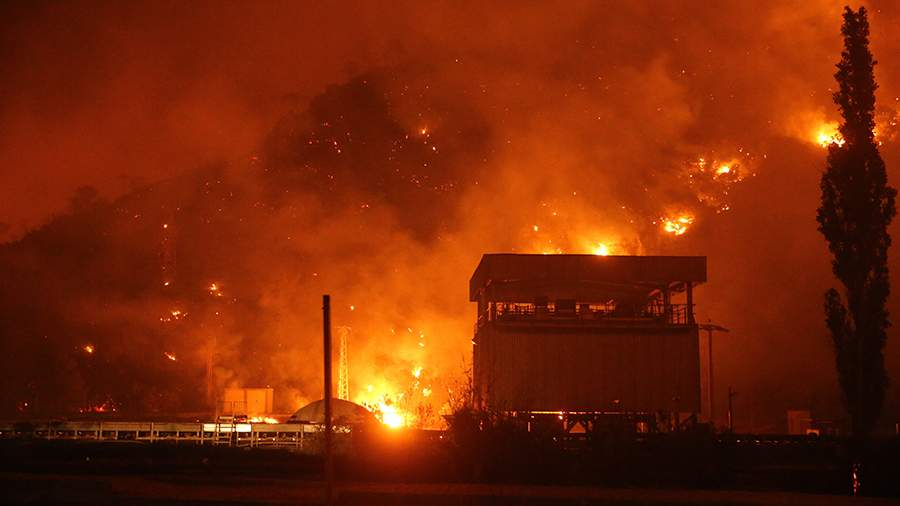 В Алжире из-за лесных пожаров погибли 34 человека