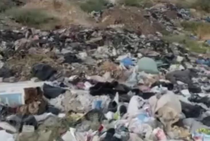 «Я штраф заплачу и каждый день буду выбрасывать»: Мужчина выгрузил огромную кучу мусора на берегу реки Сырдарья