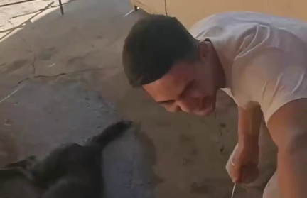 В соцсетях распространилось видео, на котором парень издевается над мертвой собакой